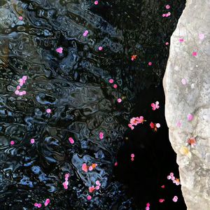 老妇擦她的老荫户
