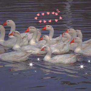 老妇擦她的老荫户
